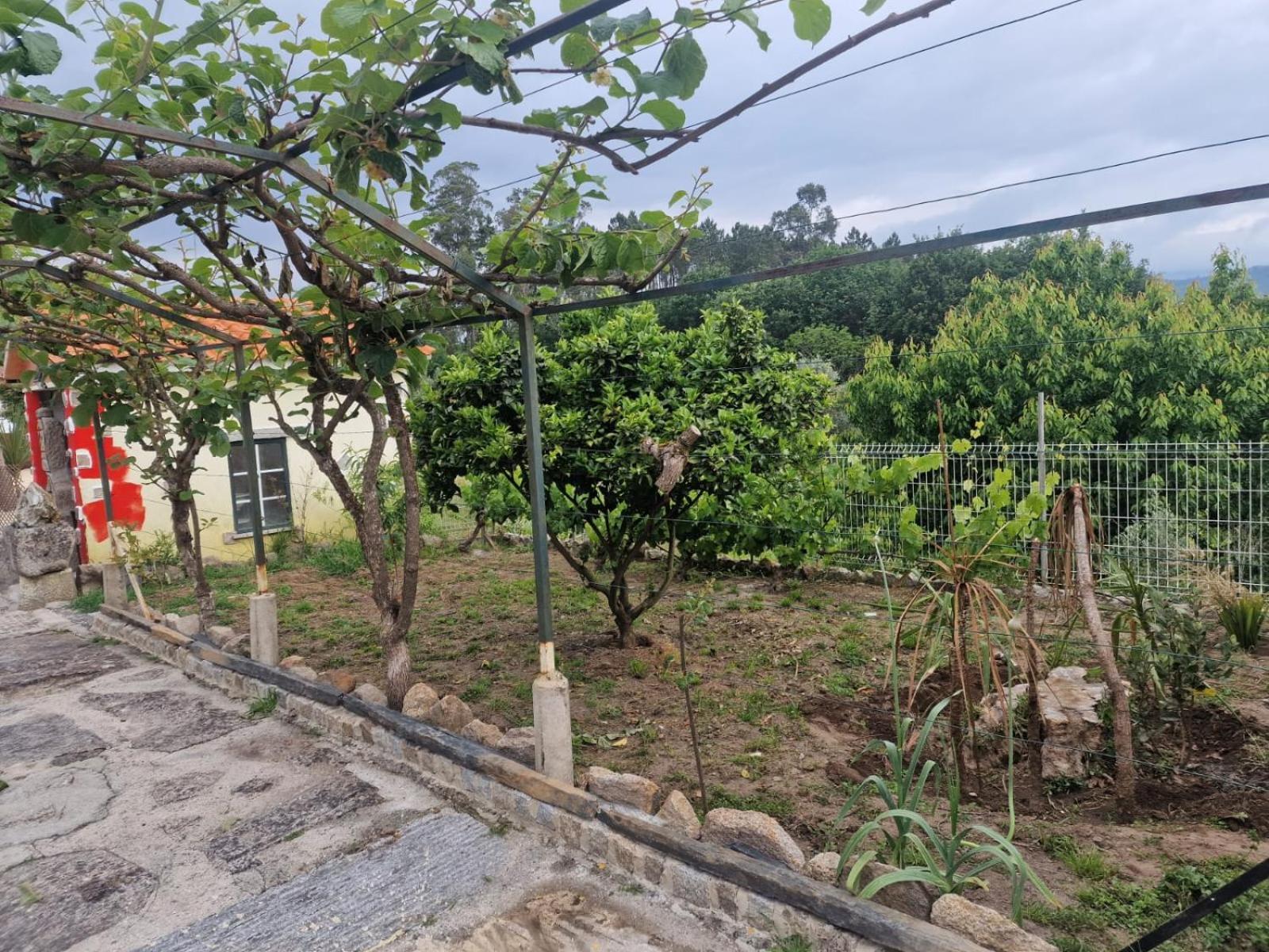 Tropical Dream Farm Hotel Vouzela Exterior photo